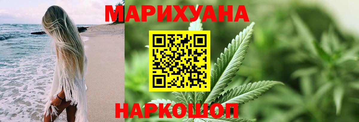 Марихуана сатива Донской